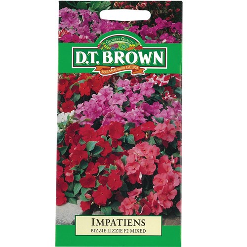 Impatiens Seeds - Pack of 40