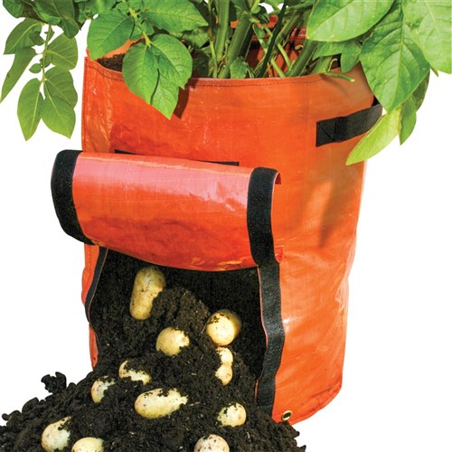 Potato Growing Bags - Pack of 2