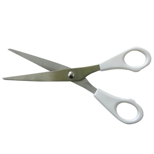 Student Scissors - Each