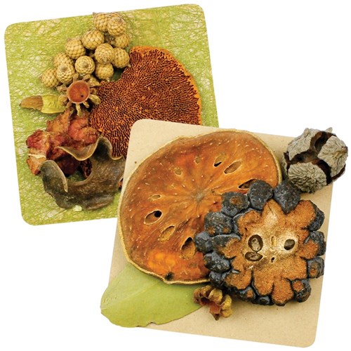 Wooden Square Shapes - Pack of 4