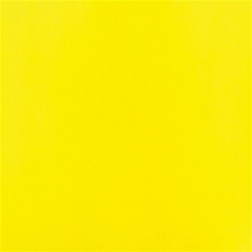 Outdoor Patio Paint - Sunshine Yellow - 59ml