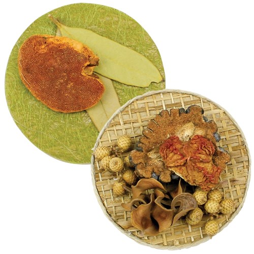 Papier Mache Circle Magnets - Pack of 2