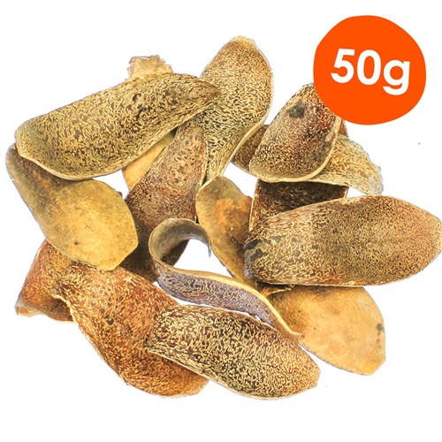Mahogany Spoons - 50g Pack