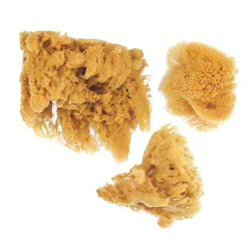 Natural Sea Silk Sponge - Assorted - Pack of 3