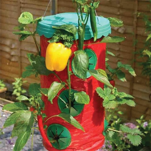 Hanging Strawberry & Chilli Planter