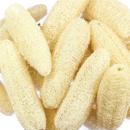 Luffa Pods - Bleached Pack of 10