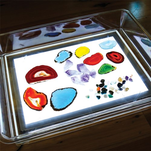 CleverPatch Exploration Light Tray