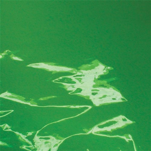 Cellophane - Green - 1 Sheet