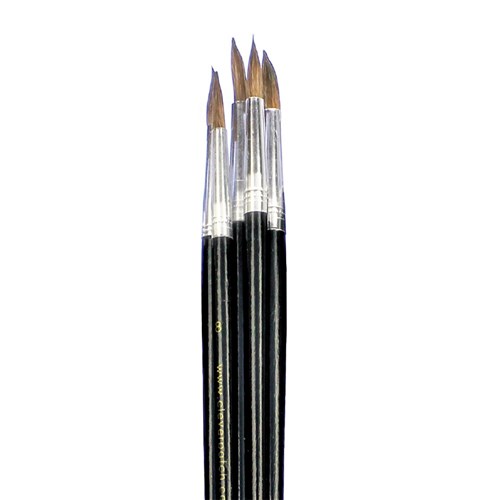 Watercolour Paint Brushes - Pack of 5