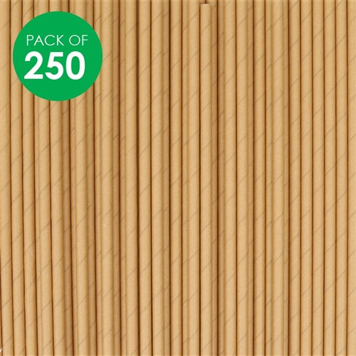 Recyclable Paper Straws - Pack of 250