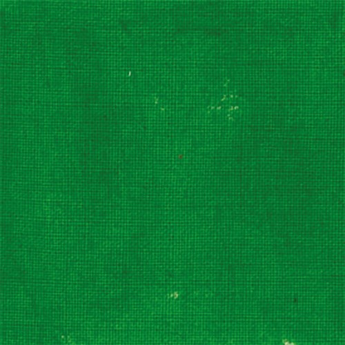 Aquatex Fabric Paint - Mid Green - 500g