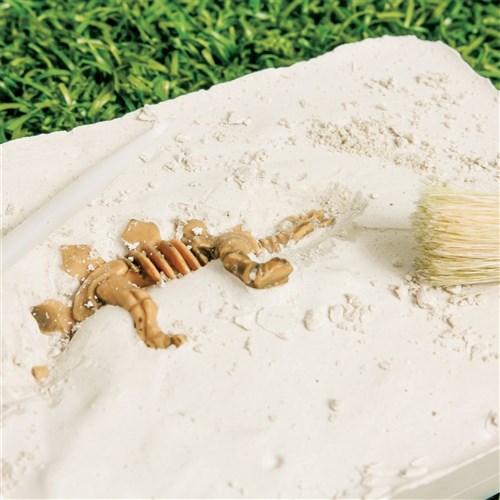 Plastic Dinosaur Skeletons - Pack of 12
