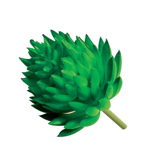 Imitation Succulent