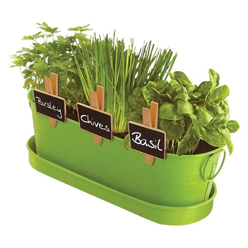 Grow Your Own Kitchen Herbs Kit