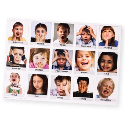 Emotions Art & Language Charts - A3 - Pack of 16