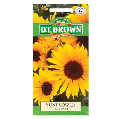 Sunflower Seeds - Pack of 15