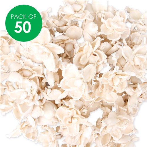 Shola Gardenia - Pack of 50