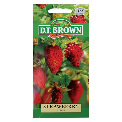 Strawberry Seeds - Pack of 100