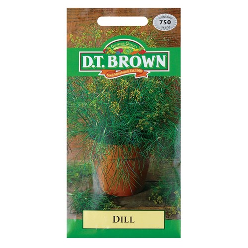 Dill Seeds - Pack of 750