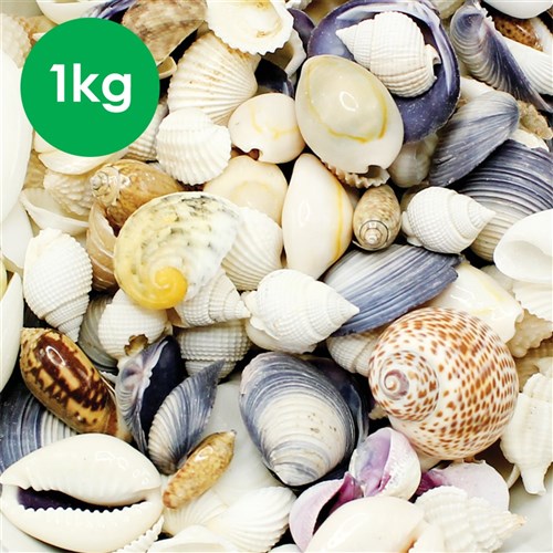 Sea Shells - Assorted - 1kg Pack