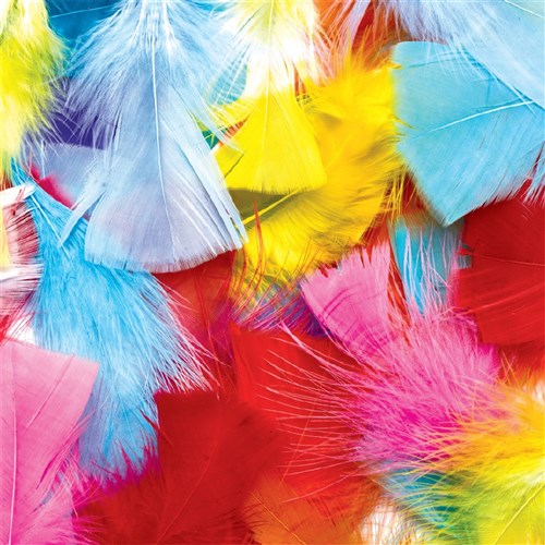 Colorations Rainbow Feathers - 225g Pack