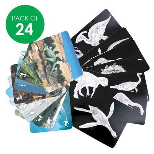 Dinosaur X-Rays - Pack of 24 - CleverPatch | CleverPatch - Art & Craft ...