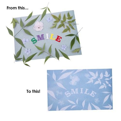 Sun Sensitive Paper Kit