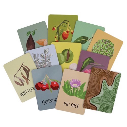 Indigenous Bush Food Snap Game - Pack of 40