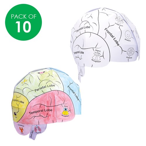 Human Brain Anatomy Hats - Pack of 10
