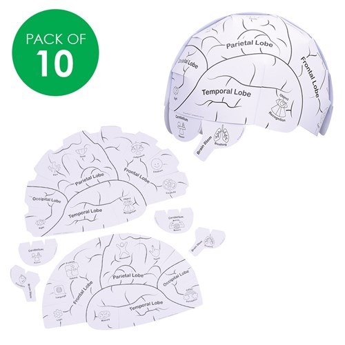 Human Brain Anatomy Hats - Pack of 10