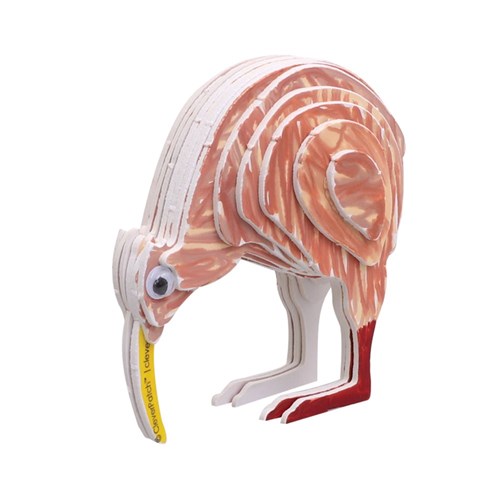 3D Cardboard Animal Puzzles - Kiwi - Pack of 10