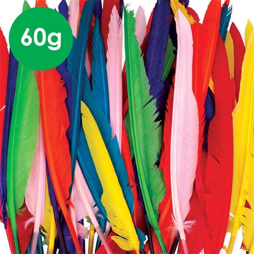 Bright Quill Feathers - 60g Pack