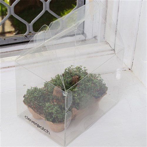 Greenhouse Planter Boxes - Pack of 10
