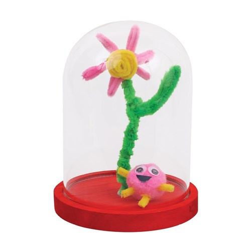 Large Glass Dome Cloche with Wooden Base - Each