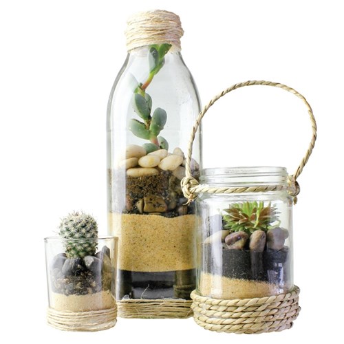 Terrariums