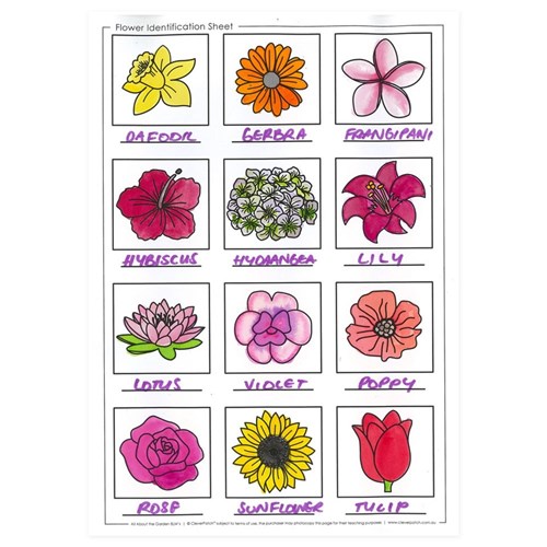 All About Minibeasts & the Garden Blackline Masters