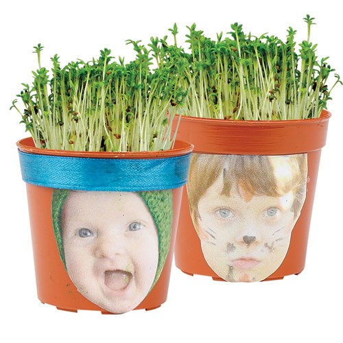 Cress Head Mini Pot